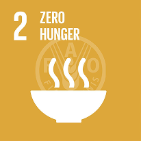 SDG Goal